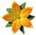 fleur orange