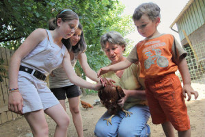 ferme pedagogique